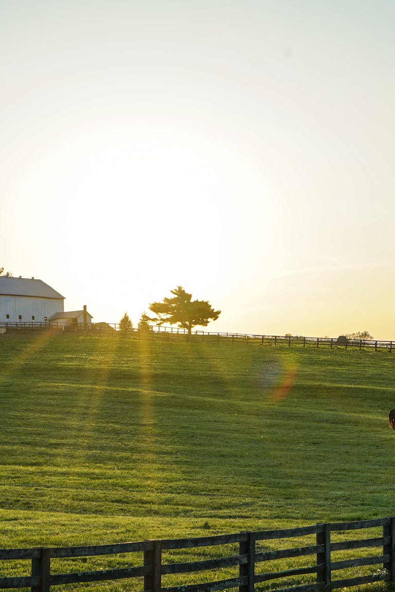 pexels-photo-2042161