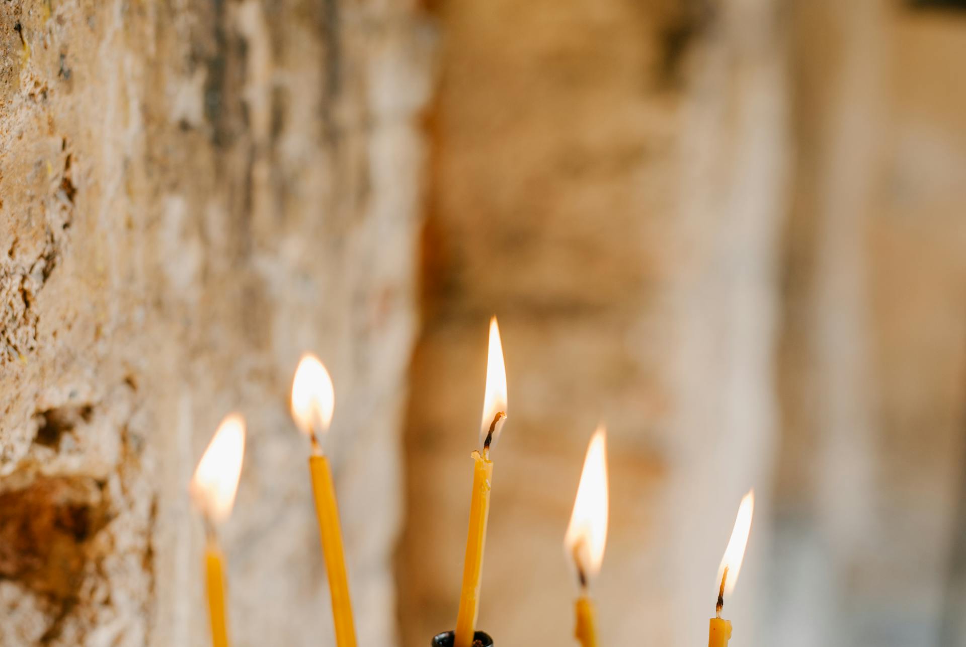 pexels-photo-5273034