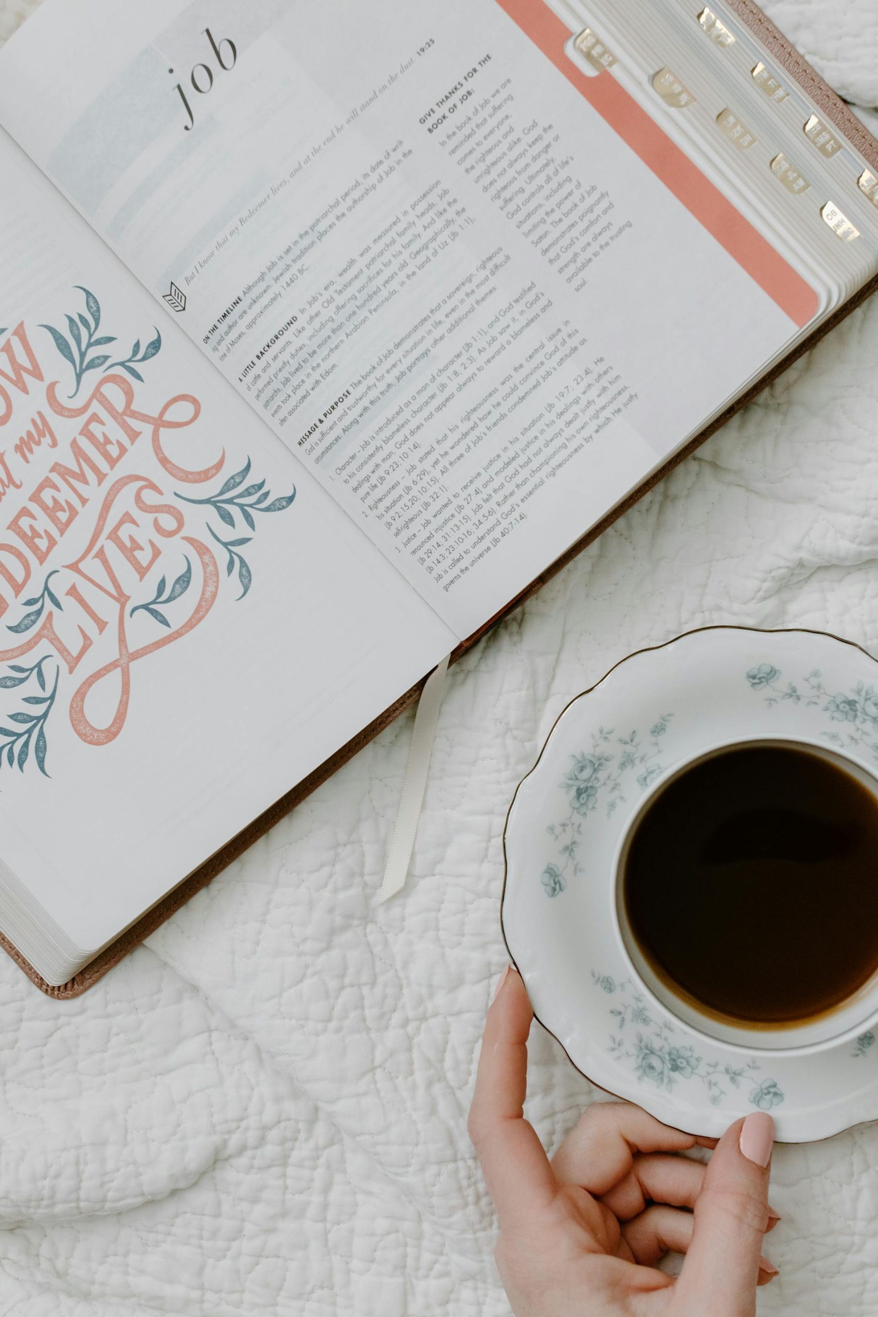 pexels-photo-8383476